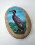 Cormorant Pebble Cormorant Pebble
